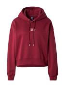 Sweatshirt 'INT LOGO ABBREV PO HOOD'