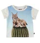 Molo T-shirt - Eddie - Cactus Cat