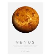 Citatplakat Affisch - A3 - Venus