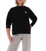 Dickies Sweatshirt - Summerdale - Svart