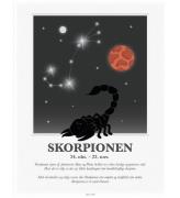 Kids by Friis Affisch - StjÃ¤rntecken - Skorpionen