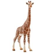 Schleich Wild Life - H: 17 cm - Giraff 14750