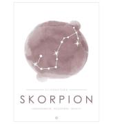 Citatplakat Affisch - A3 - Constellation - Skorpion - Rosa