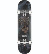 Globe Skateboard - 8'' - G1 Natives - Svart/Koppar