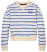 Tommy Hilfiger Tröja - New York - Calico Bas Blue Stava Stripe