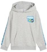 Puma x Hot Wheels Hoodie - GrÃ¥melerad m. BlÃ¥