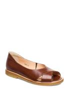 Sandals - Flat - Open Toe - Clo Brown ANGULUS