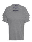 Essential Triple Pack T-Shirt Grey Superdry