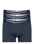 Maple 3-Pack Underwear - Gots/Vegan Blue Knowledge Cotton Apparel