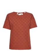 Ladies T-Shirt Ss Brown Garcia