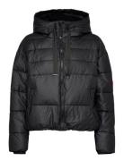 Womens Intrepid Short Puffer Black Hunter