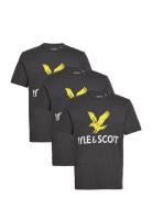 3 Pack Printed T-Shirt Black Lyle & Scott