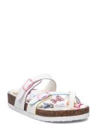 Jjackie Sandal Patterned Steve Madden