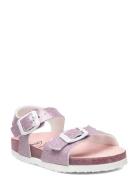 Sl Dolphin Jelly Patent Pink Pink Scholl