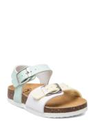 Sl Dolphin Pu Leather Wht-Multi White Scholl