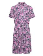 Chichi Dress Pink Fabienne Chapot