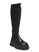 Gylana Boot Black Steve Madden