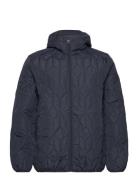 Puffer Jacket W?.Hood Navy Lindbergh