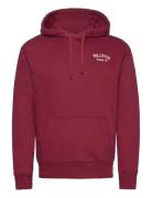 Hco. Guys Sweatshirts Burgundy Hollister