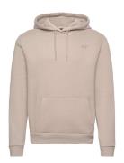 Hco. Guys Sweatshirts Cream Hollister