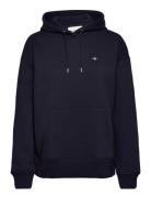 Rel Shield Hoodie Navy GANT