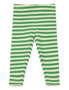 Tnsfinn Rib Leggings Green The New