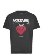 Tommer Co Concert Crush Strass Black Zadig & Voltaire