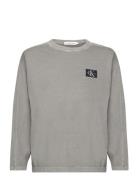 Mineral Dye Badge Ls T-Shirt Grey Calvin Klein