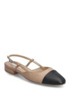 Belinda Ballerina Beige Steve Madden