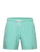 Hco. Guys Swim Green Hollister