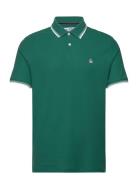 Tipped Polo Org Piq Green Original Penguin