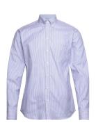 Oxford Stripe Blue Bosweel Shirts Est. 1937