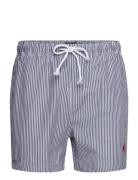 Mcs Swimshorts Irving Men Blue MCS