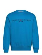Tommy Logo Sweatshirt Blue Tommy Hilfiger