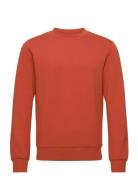 Abel Crew Neck Sweat Orange Mos Mosh Gallery