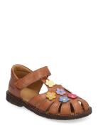 Sandals - Flat - Closed Toe - Brown ANGULUS