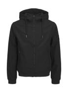 Jjebasic Softshell Hood Noos Black Jack & J S