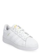 Superstar Xlg J White Adidas Originals