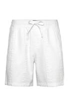 Hco. Guys Shorts White Hollister