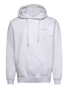 Heavyweight Organic Logo Hoodie - Ash Grey S.T. VALENTIN