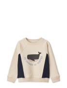 Aude Placement Sweatshirt Cream Liewood