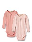 2 Rib Body L/S Lotta Pink Wheat