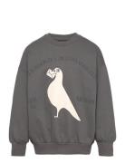 Pigeons Sp Sweatshirt Grey Mini Rodini