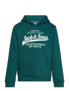 Jjelogo Sweat Hood 2 Col 24/25 Noos Mni Green Jack & J S