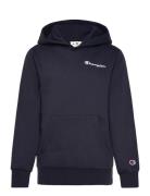 Hooded Sweatshirt Navy Champion