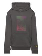 Dotted Eagle Graphic Hoodie Grey Lyle & Scott