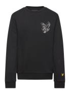 3D Eagle Graphic Sweatshirt Black Lyle & Scott