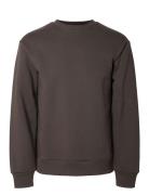 Slhreg-Dan Sweat Crew Neck Grey Selected Homme