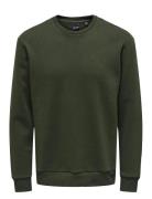 Onsceres Life Crew Neck Green ONLY & SONS