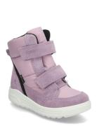 Urban Snowboarder Pink ECCO